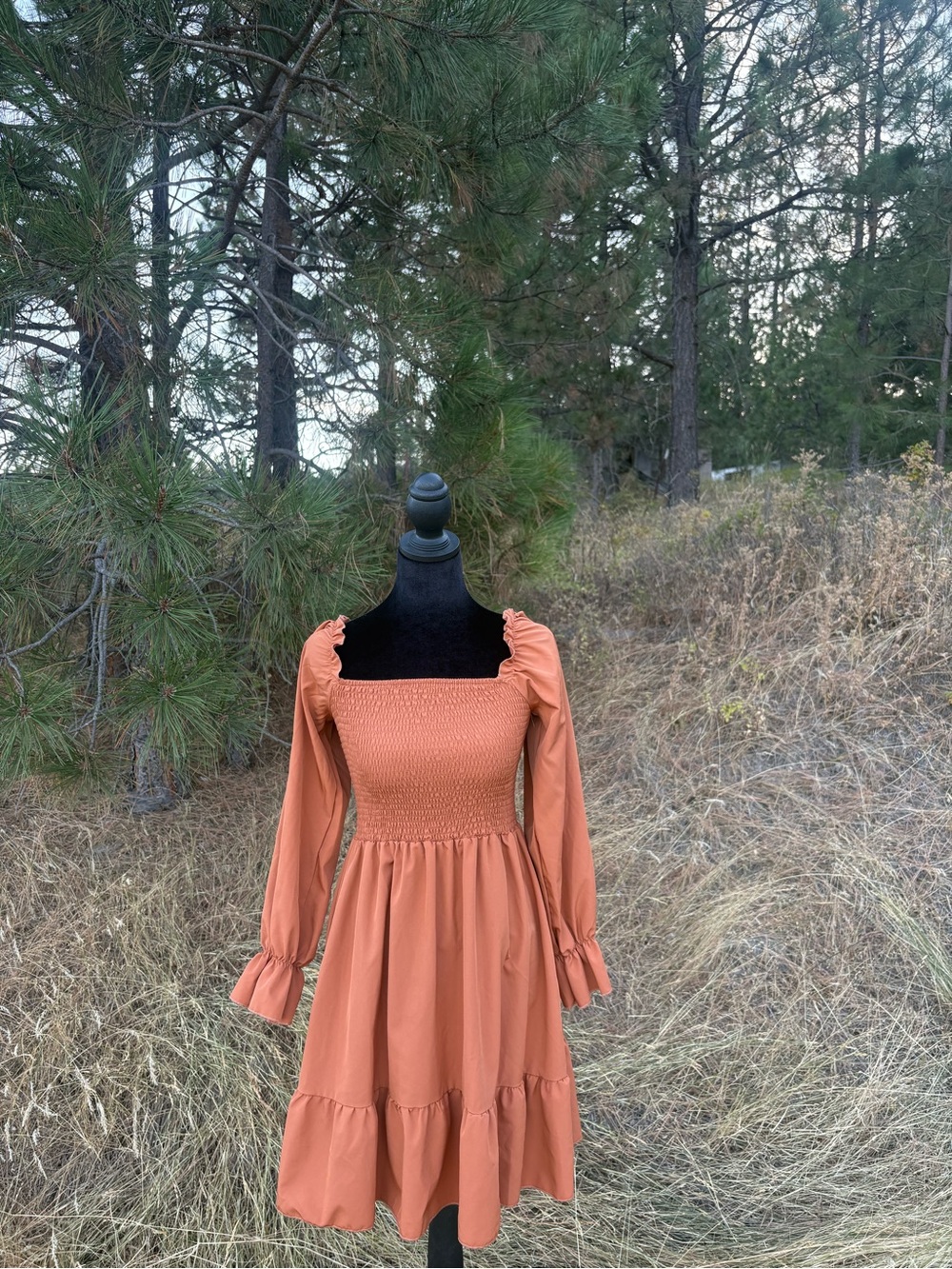 Smocked Square-Neck Long-Sleeve Dress in Rust